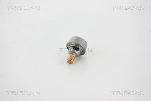 Termostat från TRISCAN