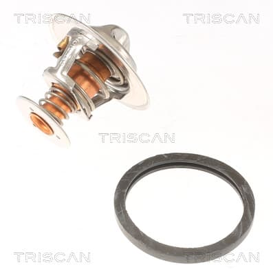 Termostat från TRISCAN