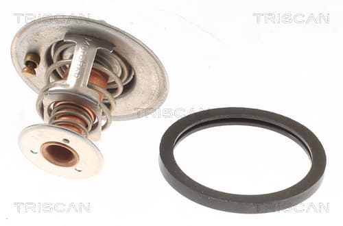 Termostat från TRISCAN