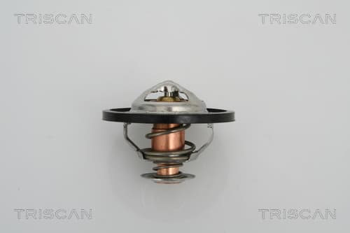 Termostat från TRISCAN
