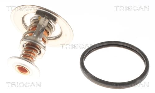 Termostat från TRISCAN