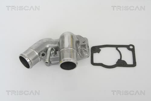 Termostat m. hus från TRISCAN