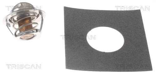 Termostat från TRISCAN