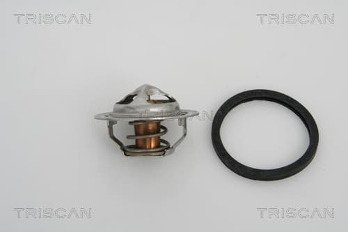 Termostat från TRISCAN