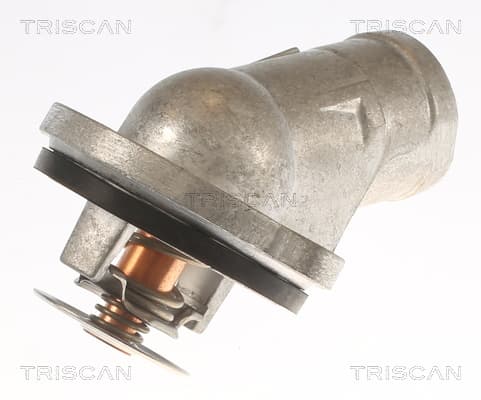 Termostat m. hus från TRISCAN