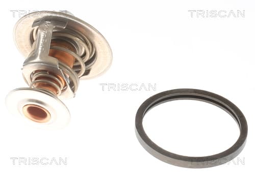 Termostat från TRISCAN