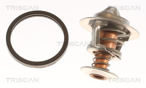 Termostat från TRISCAN