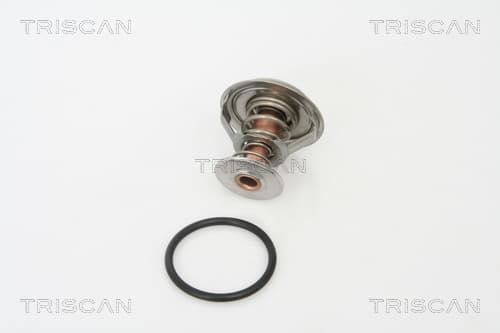 Termostat från TRISCAN