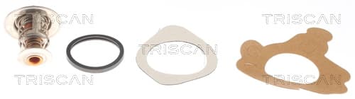 Termostat från TRISCAN