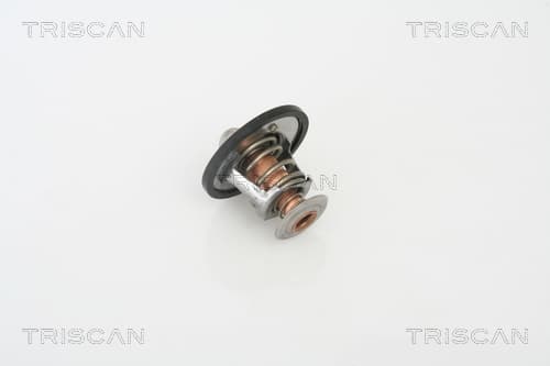 Termostat från TRISCAN