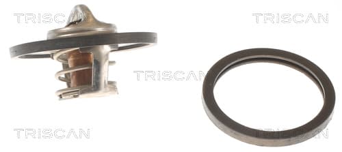 Termostat från TRISCAN