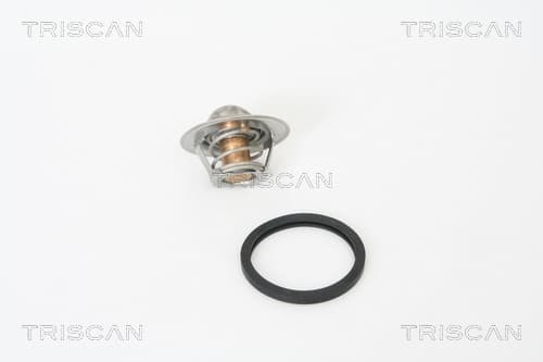 Termostat från TRISCAN
