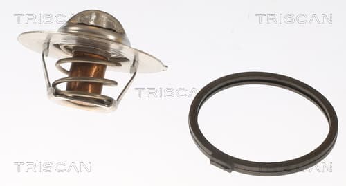 Termostat från TRISCAN