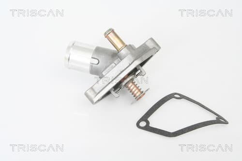 Termostat m. hus från TRISCAN