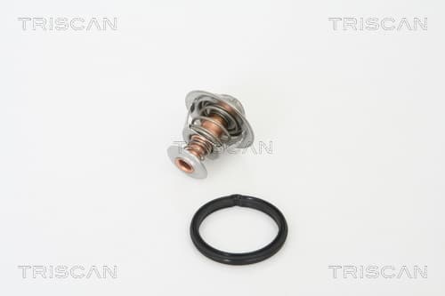 Termostat från TRISCAN