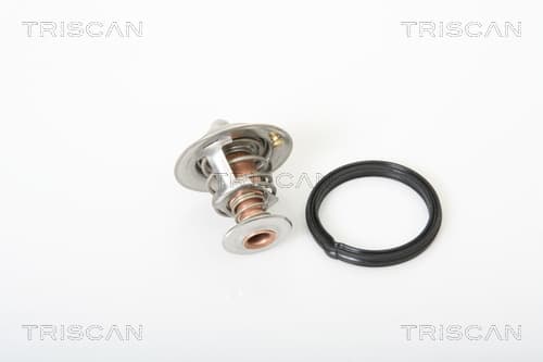 Termostat från TRISCAN