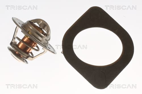 Termostat från TRISCAN