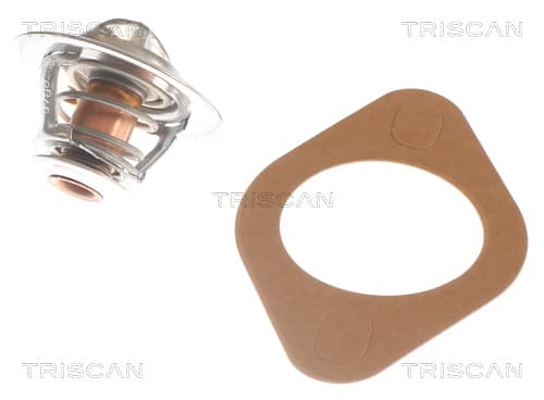 Termostat från TRISCAN