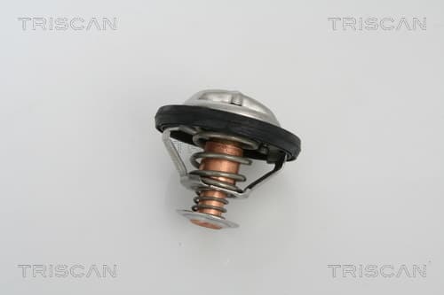 Termostat från TRISCAN