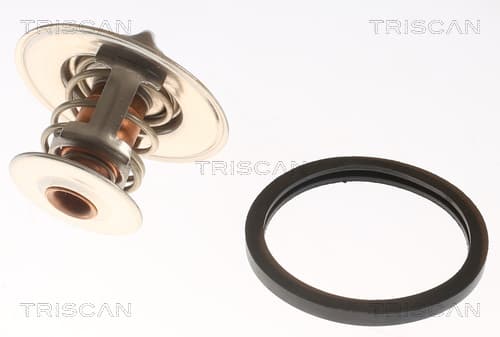Termostat från TRISCAN
