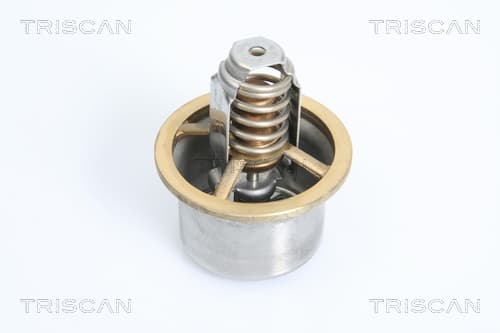 Termostat från TRISCAN