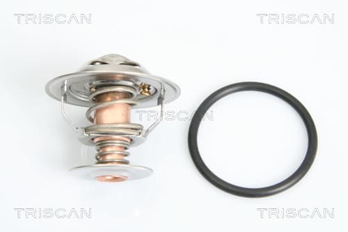 Termostat från TRISCAN