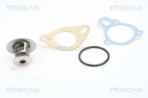 Termostat från TRISCAN