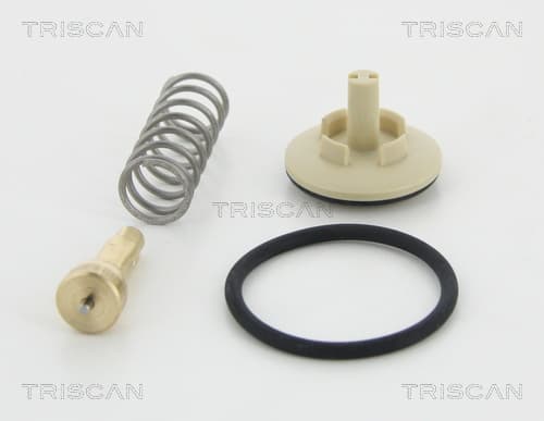 Termostat från TRISCAN