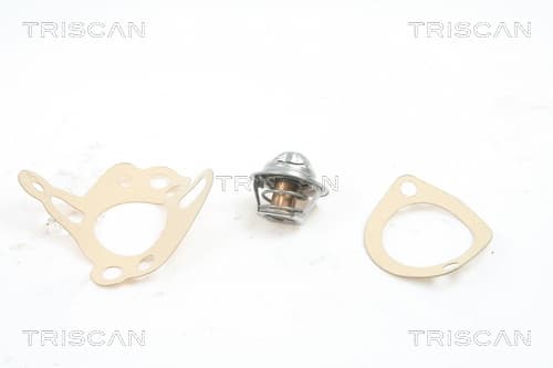 Termostat från TRISCAN