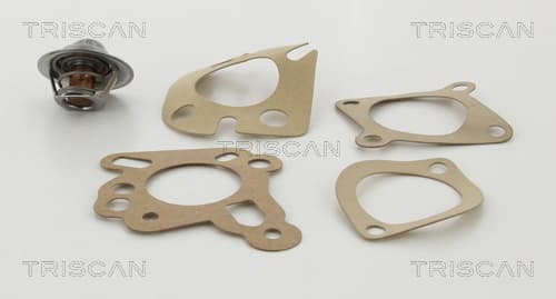 Termostat från TRISCAN