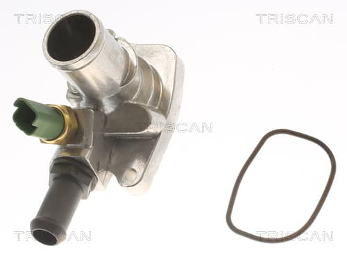 Termostat m. hus från TRISCAN