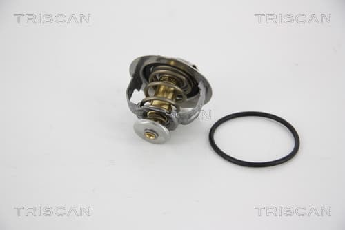 Termostat från TRISCAN