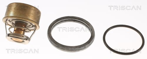 Termostat från TRISCAN