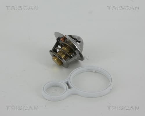 Termostat från TRISCAN