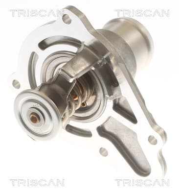 Termostat m. hus från TRISCAN