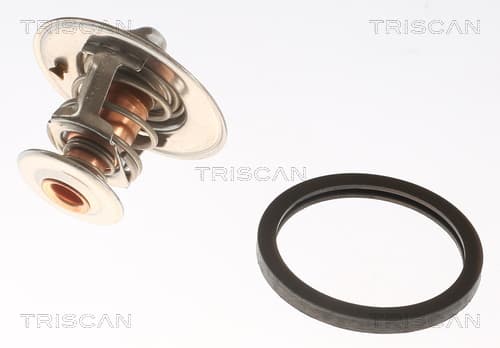 Termostat från TRISCAN