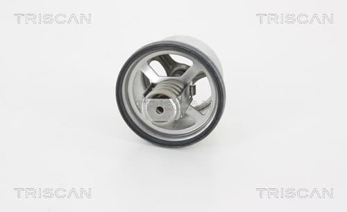 Termostat från TRISCAN