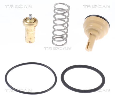 Termostat, indsats från TRISCAN