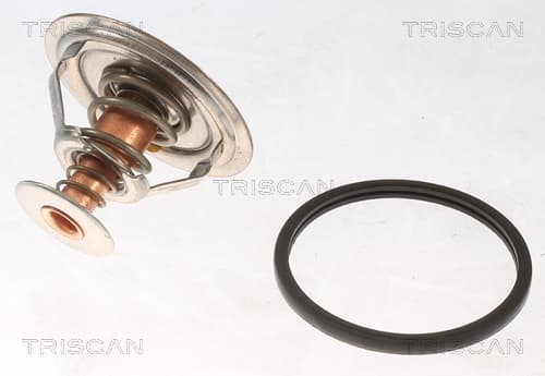 Termostat från TRISCAN