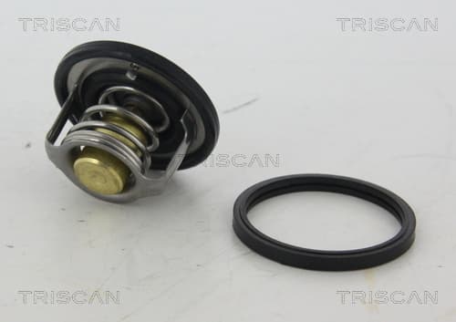 Termostat från TRISCAN