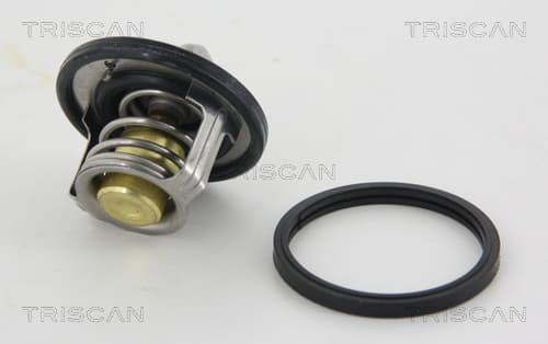 Termostat från TRISCAN