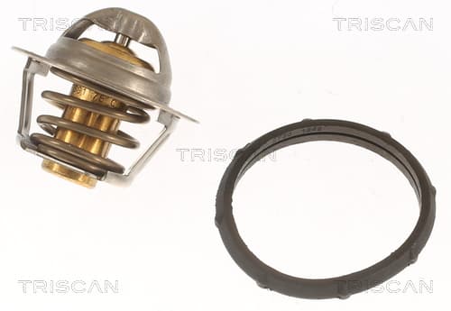 Termostat från TRISCAN
