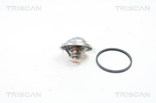 Termostat från TRISCAN