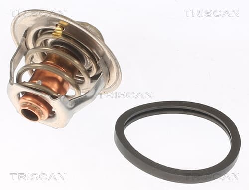 Termostat från TRISCAN