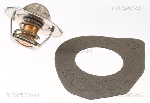 Termostat från TRISCAN