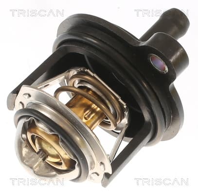 Termostat från TRISCAN