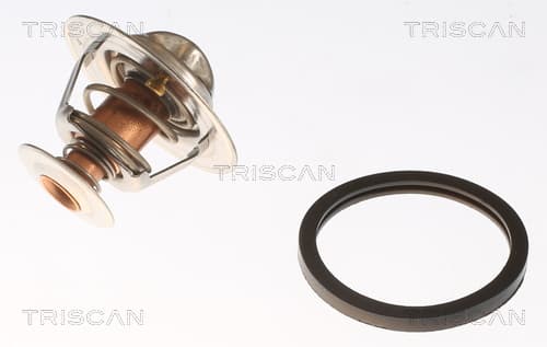 Termostat från TRISCAN