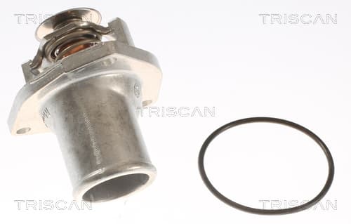 Termostat m. hus från TRISCAN