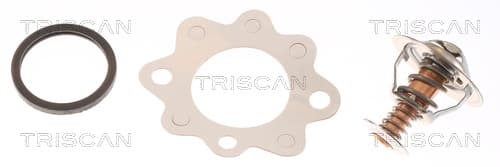 Termostat från TRISCAN