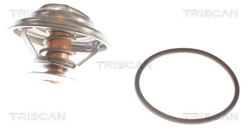 Termostat från TRISCAN